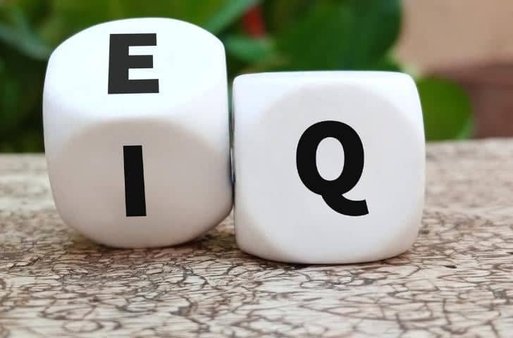 EQ ve IQ kavramlarıyla duygusal zeka farkındalığını anlatan sembolik görsel.